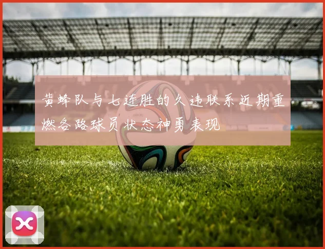 黄蜂队与七连胜的久违联系近期重燃各路球员状态神勇表现