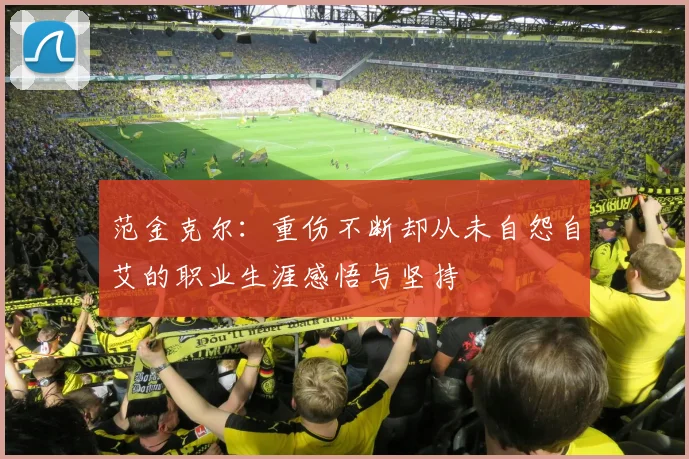 范金克尔：重伤不断却从未自怨自艾的职业生涯感悟与坚持