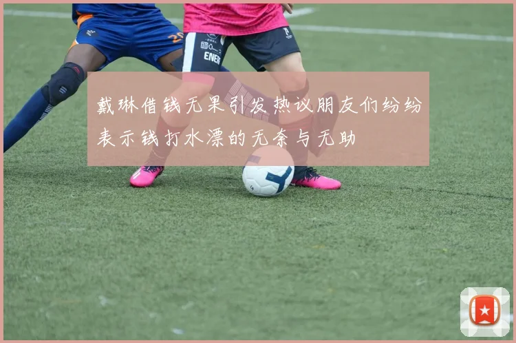 戴琳借钱无果引发热议朋友们纷纷表示钱打水漂的无奈与无助