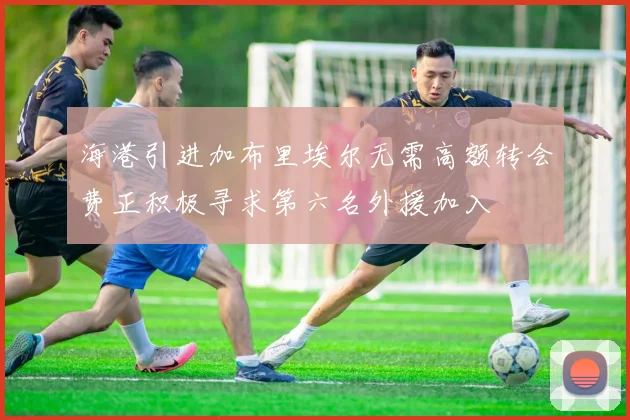 海港引进加布里埃尔无需高额转会费正积极寻求第六名外援加入