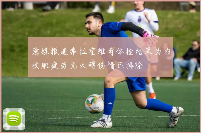 意媒报道弗拉霍维奇体检结果为内收肌疲劳无大碍伤情已排除