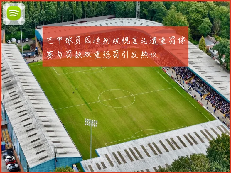巴甲球员因性别歧视言论遭重罚停赛与罚款双重惩罚引发热议